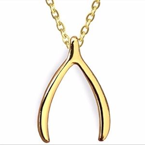 Gold wishbone necklace